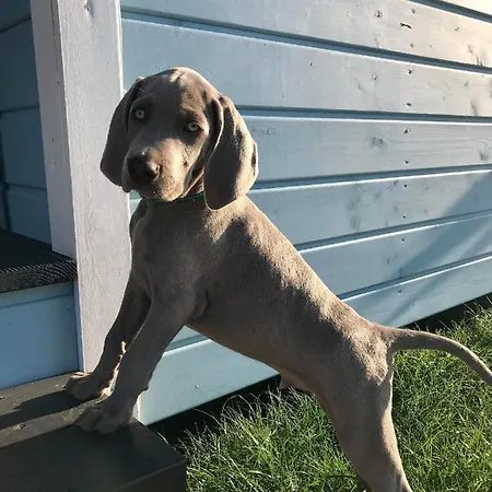 Pozdrowie Дом отдыха *